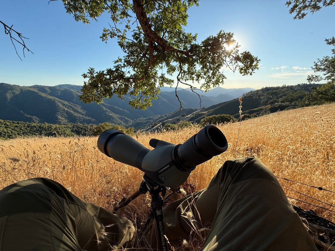 glassing for deer