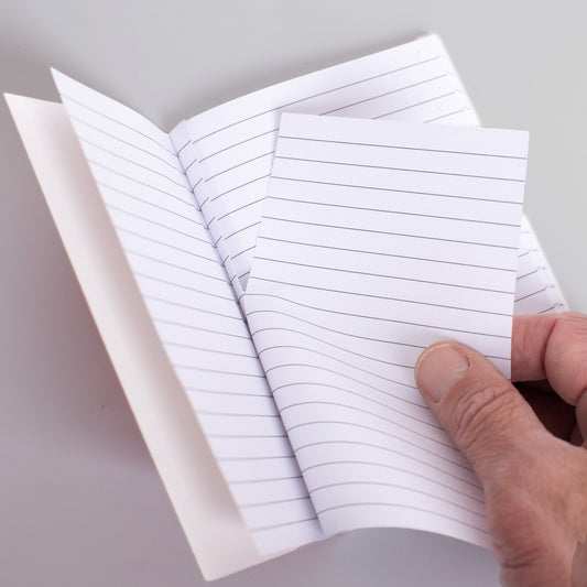 MNT Memos