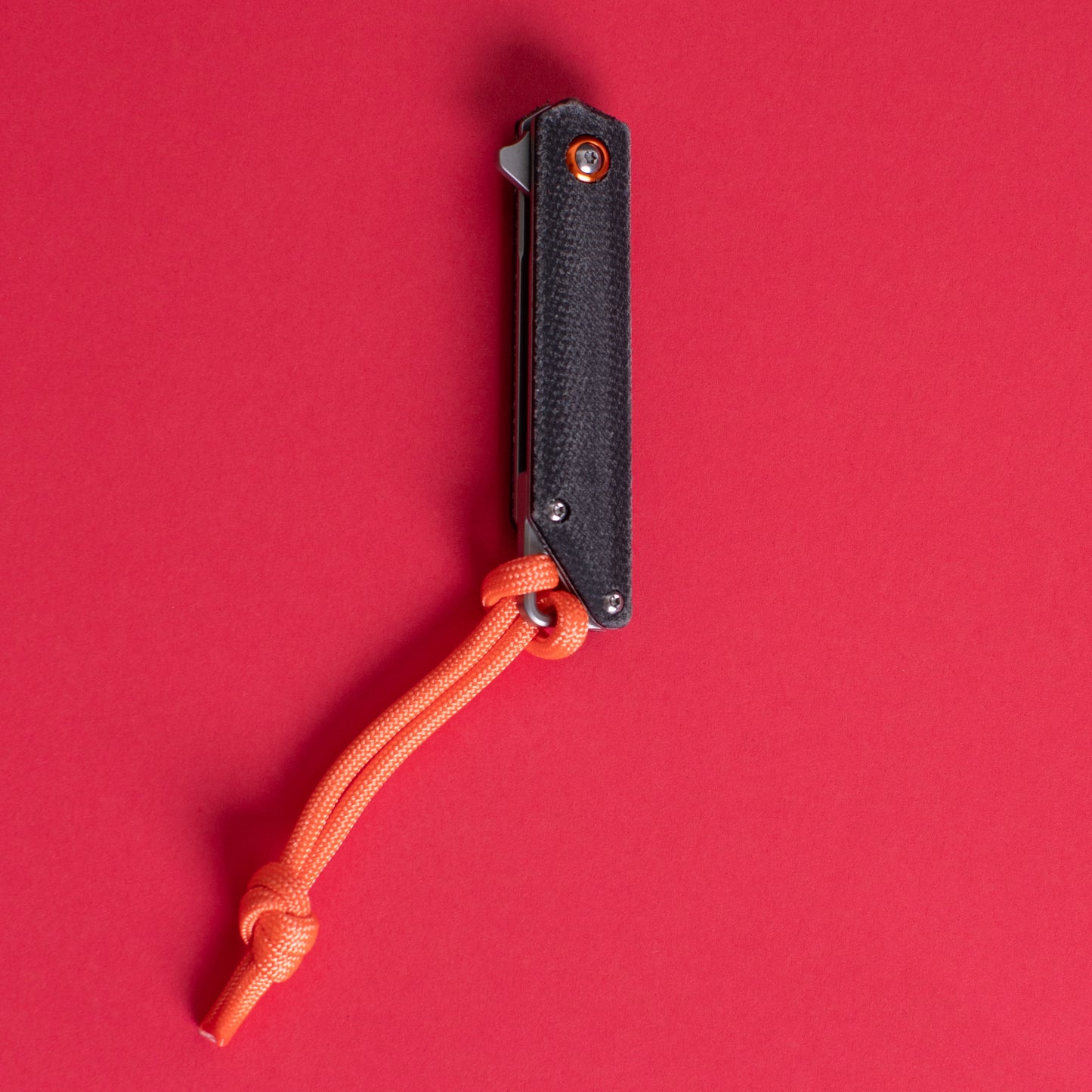 The_Hunter's Scalpel