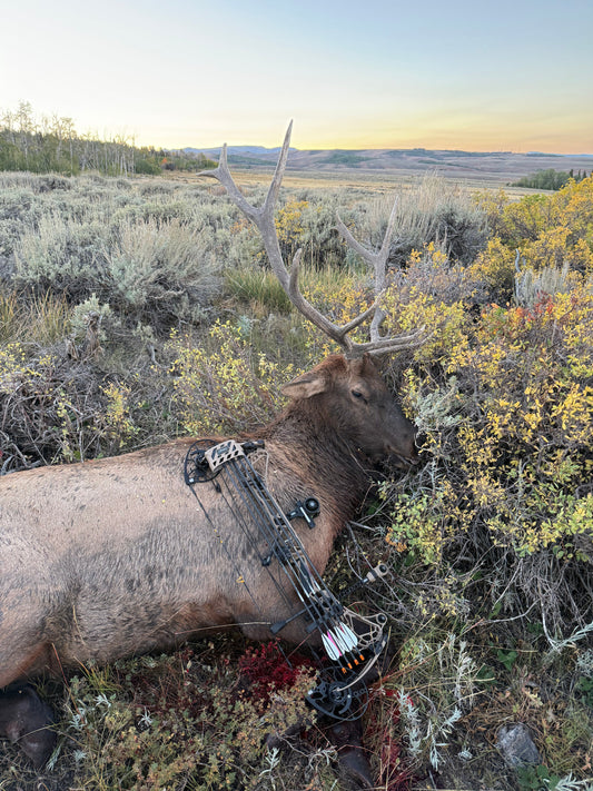Real Use Case: The Colter and Reed Go Elk Hunting