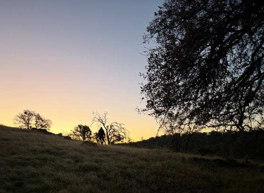 Five Years in D3-5: The Season That Broke Me, and Built Me