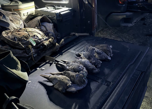 The Birds Become a Number. The Stories Stick Around.
