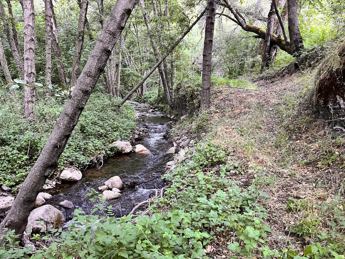 Adventure in the Ventana Wilderness: Testing Gear and Scouting for Deer