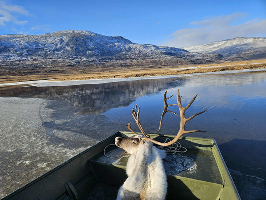Photo Credit: Hendrik- best hunter you never heard of