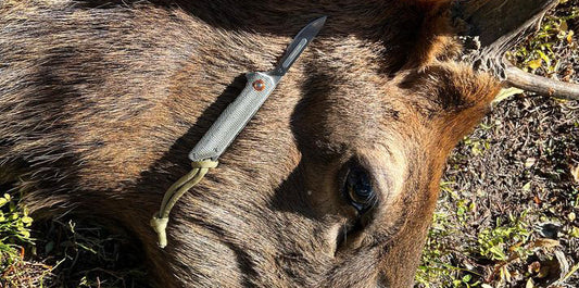 Hunter's Scalpel in unit 316 of Montana