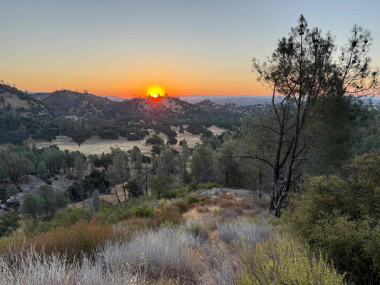 First Light, No Shot: Opening Weekend in South Monterey County