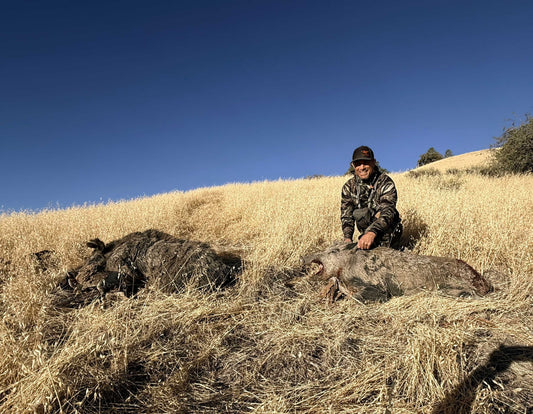 Double public land hog hunting