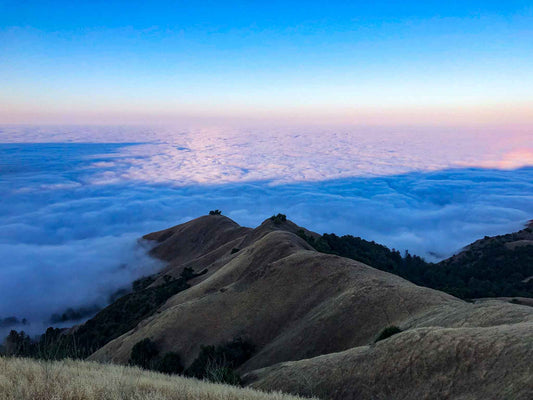 Between Fog and Fire: Hunting the Central Coast’s Two-Headed Beast