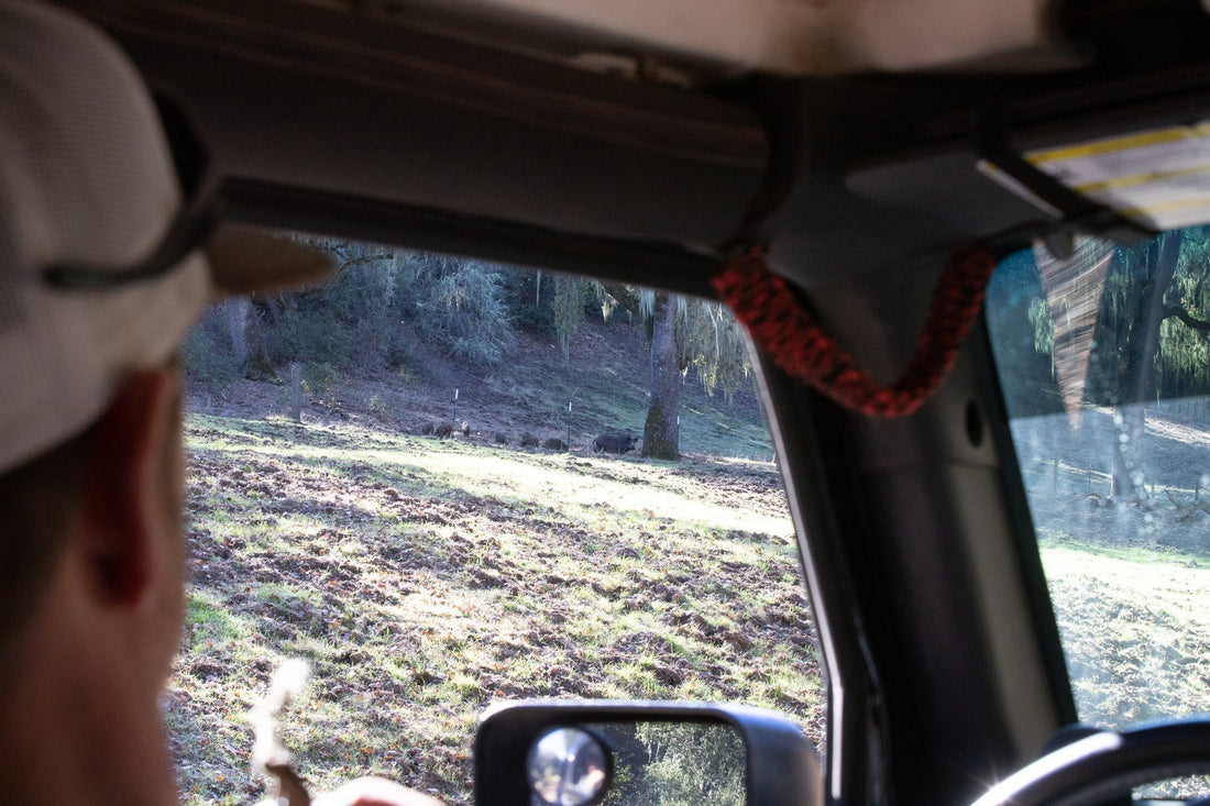 A Ranch I’d Passed a Hundred Times