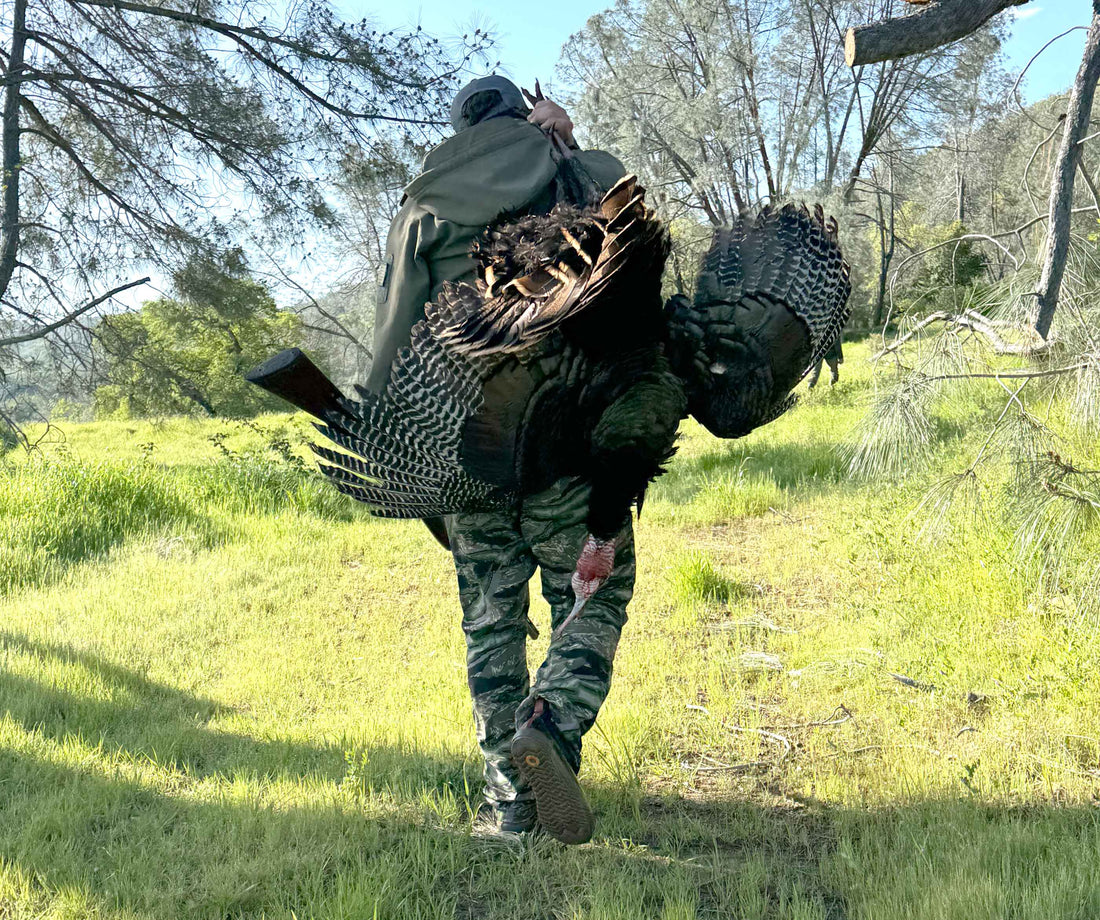 From Field to Kitchen: The Versatile Ventana Knife and a Delicious Wild Turkey Thai Curry Recipe