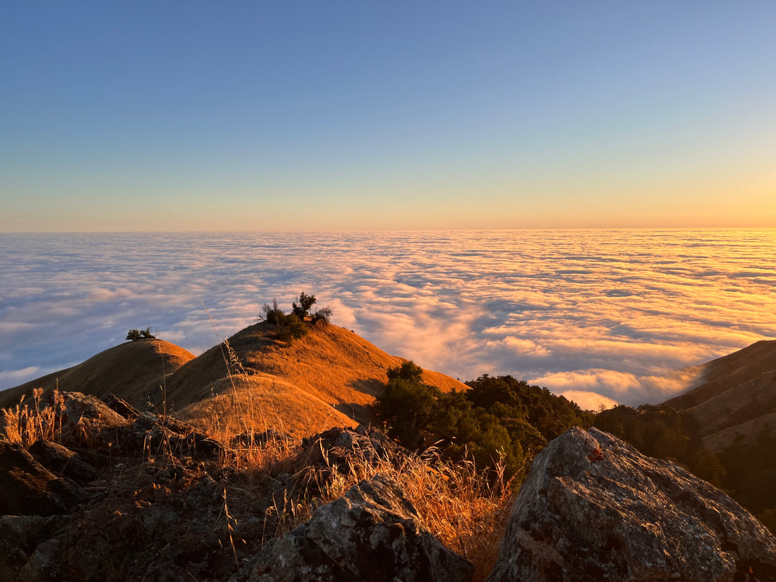 Ventana Wilderness: Where California’s Coastline Meets the Hunt